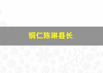 铜仁陈琳县长