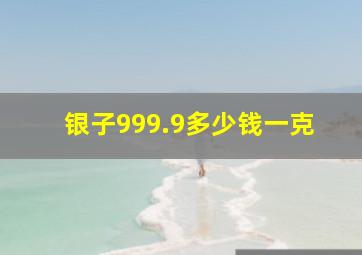 银子999.9多少钱一克