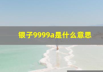 银子9999a是什么意思