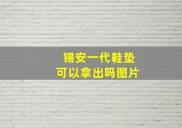 锡安一代鞋垫可以拿出吗图片