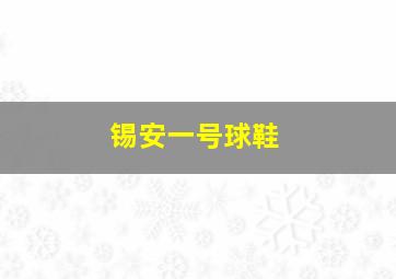 锡安一号球鞋