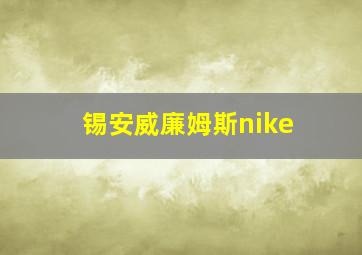 锡安威廉姆斯nike