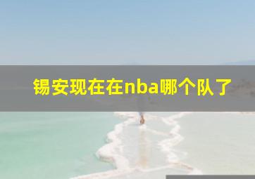 锡安现在在nba哪个队了