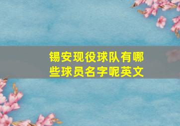 锡安现役球队有哪些球员名字呢英文