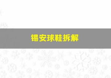 锡安球鞋拆解