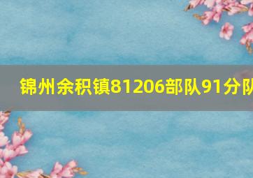 锦州余积镇81206部队91分队