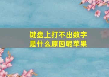 键盘上打不出数字是什么原因呢苹果