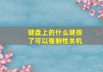 键盘上的什么键按了可以强制性关机