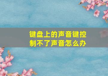 键盘上的声音键控制不了声音怎么办