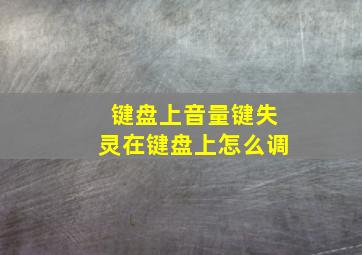 键盘上音量键失灵在键盘上怎么调