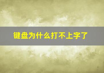 键盘为什么打不上字了