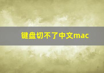 键盘切不了中文mac