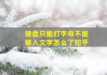 键盘只能打字母不能输入文字怎么了知乎