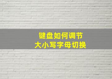 键盘如何调节大小写字母切换