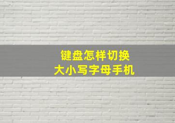 键盘怎样切换大小写字母手机