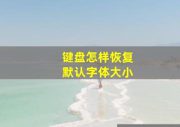 键盘怎样恢复默认字体大小