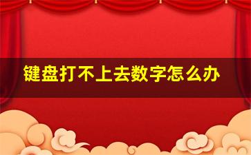 键盘打不上去数字怎么办