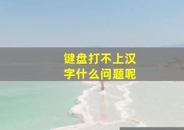 键盘打不上汉字什么问题呢