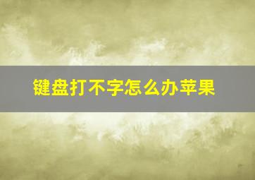 键盘打不字怎么办苹果