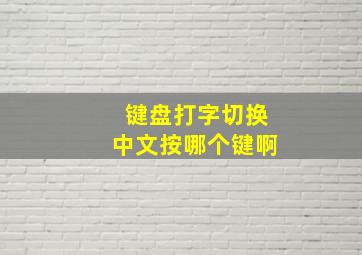 键盘打字切换中文按哪个键啊