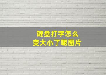 键盘打字怎么变大小了呢图片