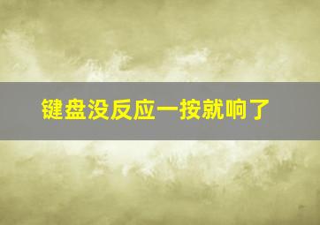 键盘没反应一按就响了