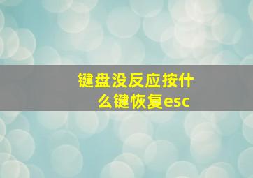 键盘没反应按什么键恢复esc