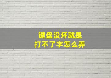 键盘没坏就是打不了字怎么弄