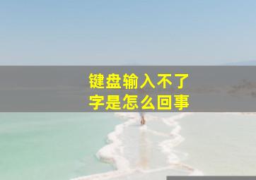 键盘输入不了字是怎么回事