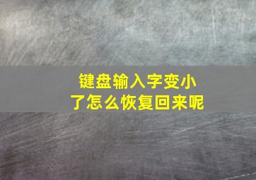 键盘输入字变小了怎么恢复回来呢