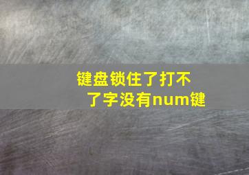 键盘锁住了打不了字没有num键