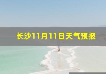 长沙11月11日天气预报