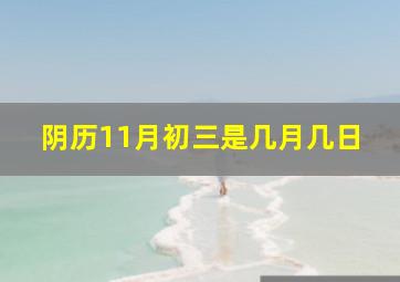 阴历11月初三是几月几日