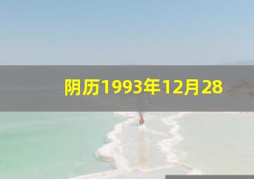 阴历1993年12月28