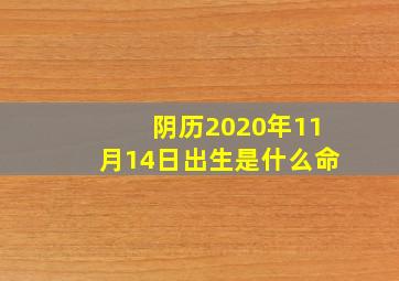 阴历2020年11月14日出生是什么命