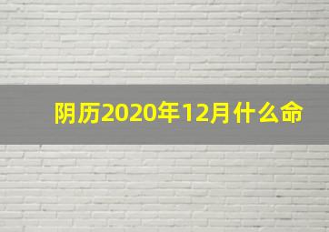 阴历2020年12月什么命