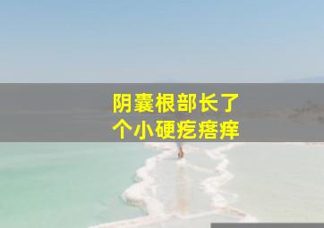 阴囊根部长了个小硬疙瘩痒