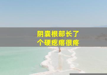 阴囊根部长了个硬疙瘩很疼