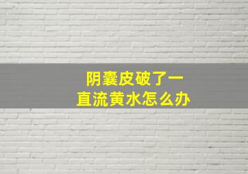 阴囊皮破了一直流黄水怎么办