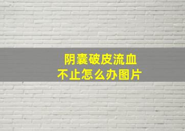 阴囊破皮流血不止怎么办图片