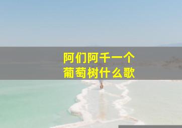 阿们阿千一个葡萄树什么歌