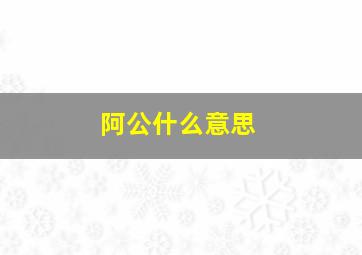 阿公什么意思