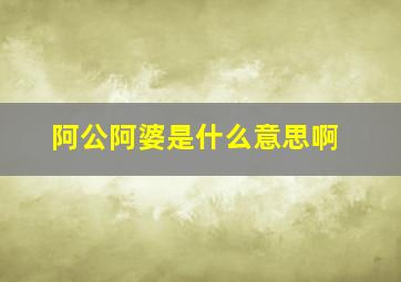 阿公阿婆是什么意思啊