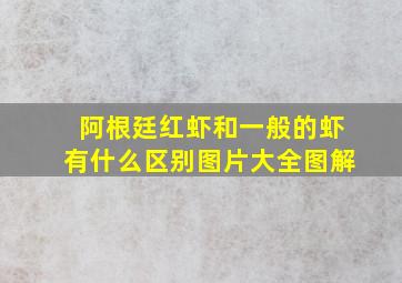 阿根廷红虾和一般的虾有什么区别图片大全图解