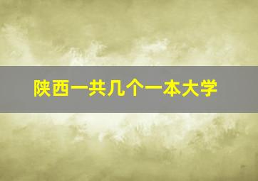 陕西一共几个一本大学