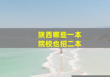 陕西哪些一本院校也招二本