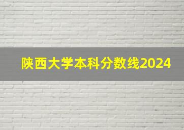 陕西大学本科分数线2024