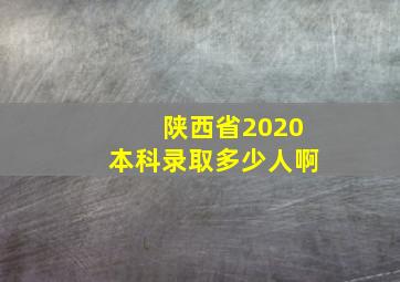 陕西省2020本科录取多少人啊