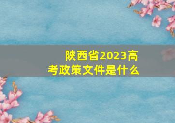 陕西省2023高考政策文件是什么