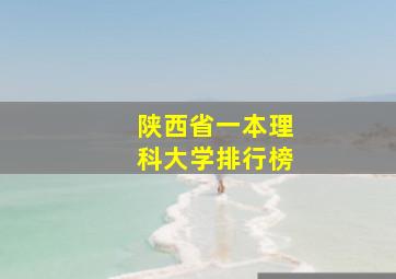 陕西省一本理科大学排行榜